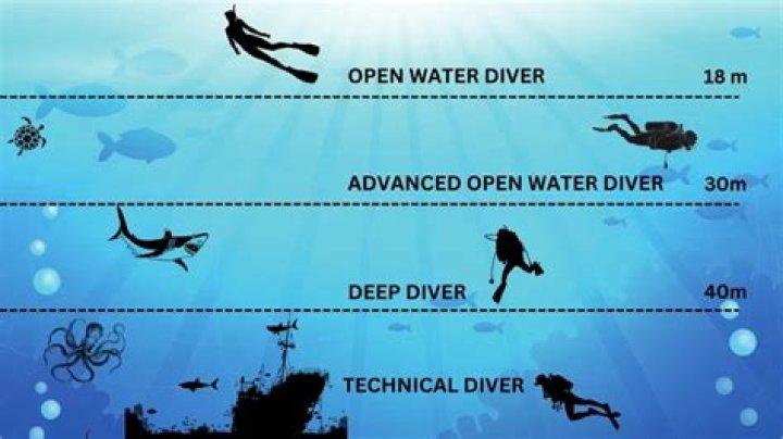 A Deep Dive For The ZenZone