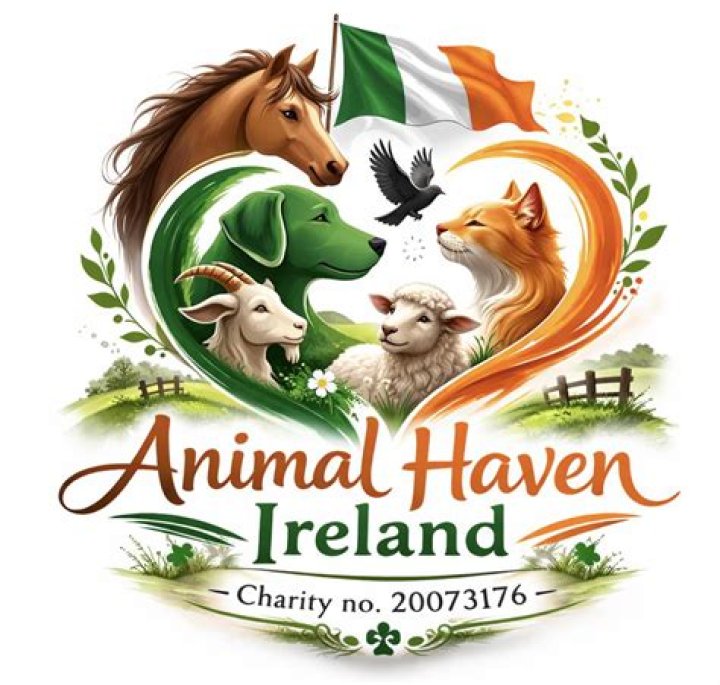 A Haven For Animal Lovers