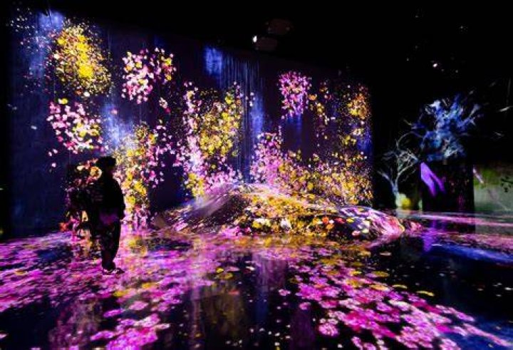An Immersive Journey Into Experimental Rock