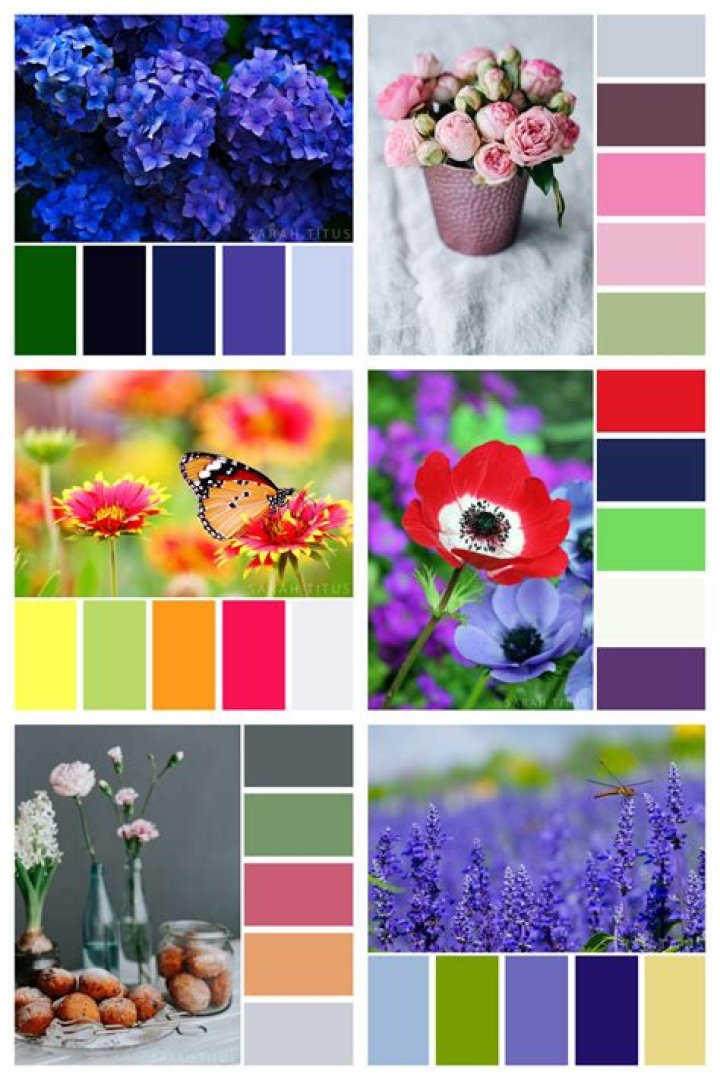 Cat&aacute;logo Nova Moda color 2017 by nova moda srl Issuu