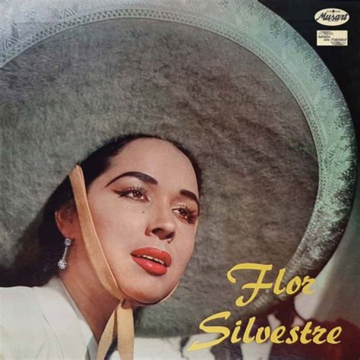 DIVAS de M&eacute;xico Flor Silvestre
