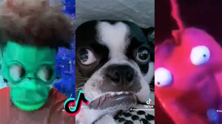 *FUNNIEST* TikToks EVER! TikToks That Are Actually Worth Watching