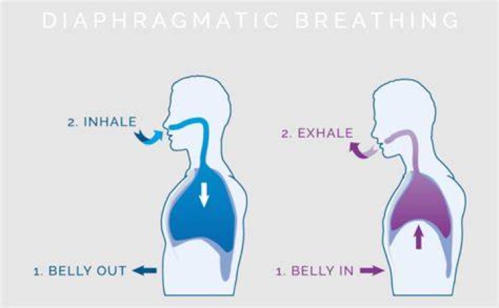 Inhale, exhale animations by Nathan W Pyle (nathanwpyle) on Instagram