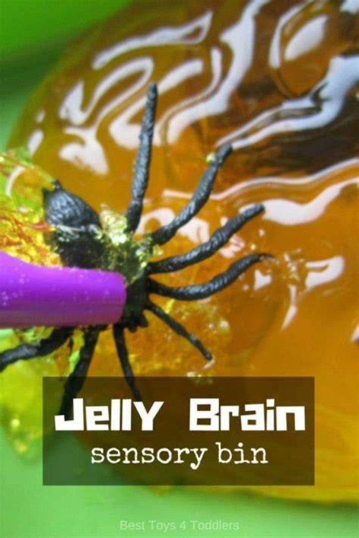 Jelly Brain Sensory Bin