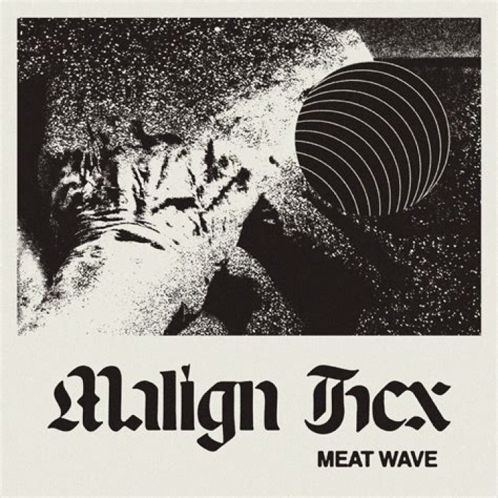 Meat Wave announce new 7" split with Lifestyles hear the loved up