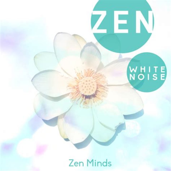 Midnight Rebels Unveiled For Zen Minds