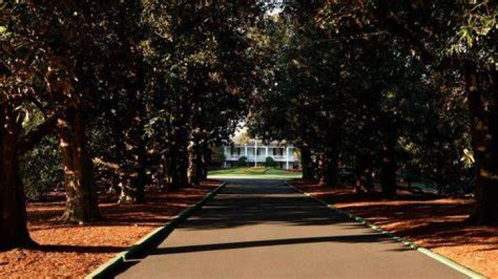 Paving Magnolia Lane might be the most intense job in golf