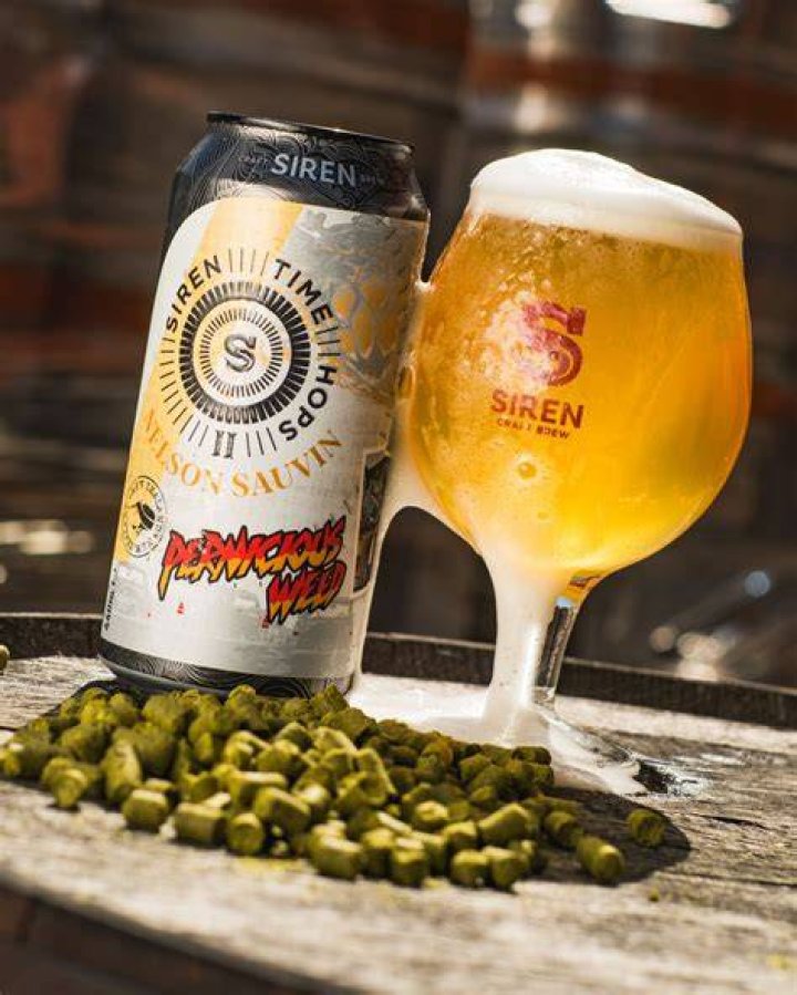Pin on Siren Craft Brew Launch