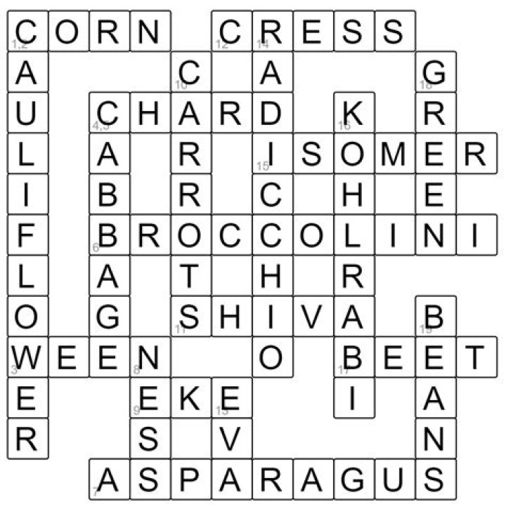 Solving "Bart Simpson's Teacher" Crossword Clue