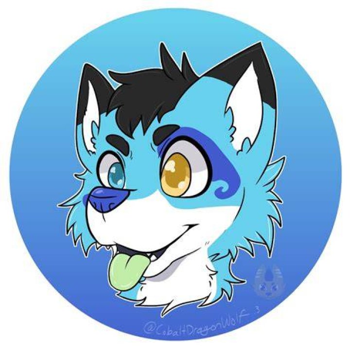 Stormi Folf YouTube
