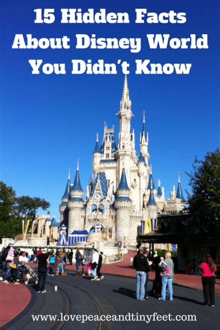 The 15+ Hidden Facts of Olivia Rodrigo Celebmafia? Olivia rodrigo is a